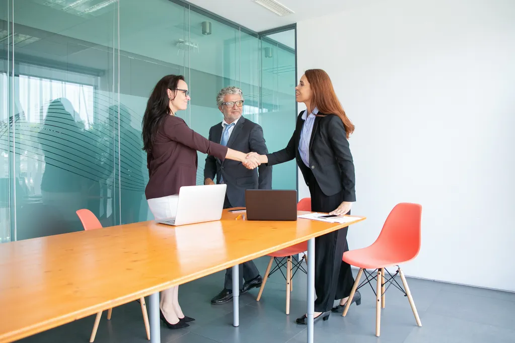 Consulting Services